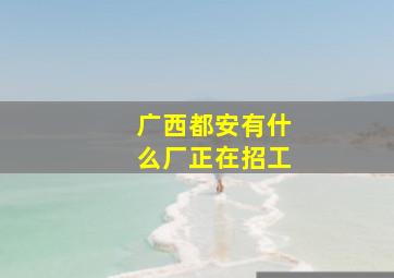 广西都安有什么厂正在招工