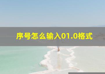 序号怎么输入01.0格式