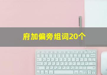 府加偏旁组词20个