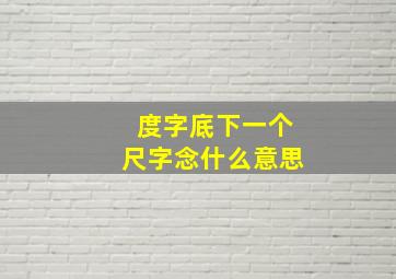 度字底下一个尺字念什么意思