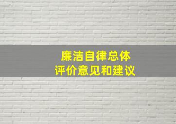 廉洁自律总体评价意见和建议