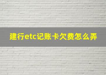 建行etc记账卡欠费怎么弄