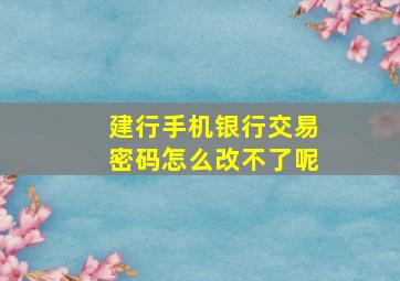 建行手机银行交易密码怎么改不了呢