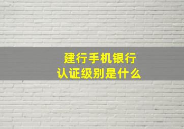 建行手机银行认证级别是什么