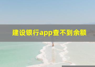 建设银行app查不到余额