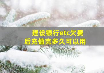 建设银行etc欠费后充值完多久可以用