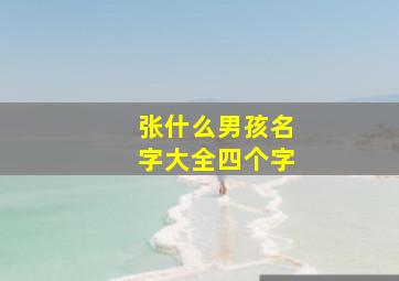 张什么男孩名字大全四个字