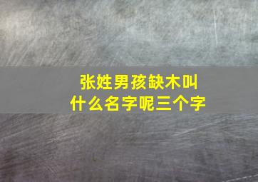 张姓男孩缺木叫什么名字呢三个字