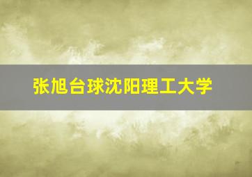 张旭台球沈阳理工大学