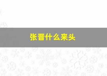 张晋什么来头