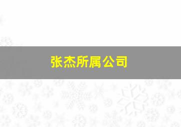 张杰所属公司