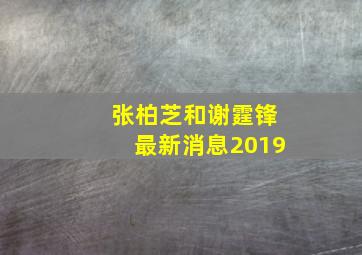 张柏芝和谢霆锋最新消息2019