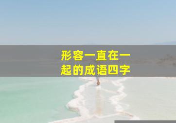 形容一直在一起的成语四字