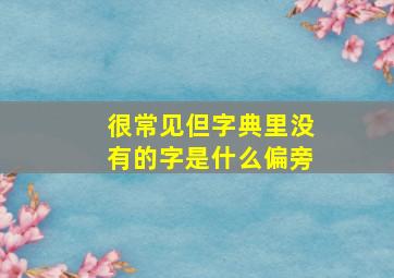 很常见但字典里没有的字是什么偏旁