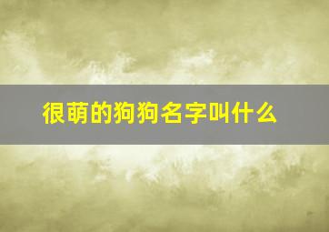 很萌的狗狗名字叫什么