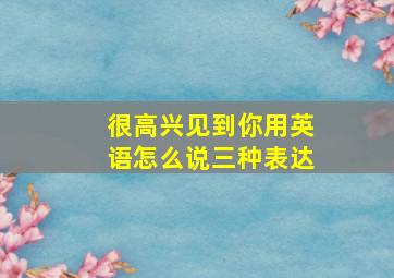 很高兴见到你用英语怎么说三种表达