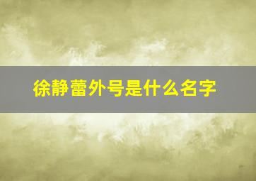 徐静蕾外号是什么名字