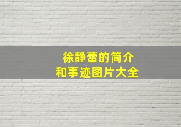 徐静蕾的简介和事迹图片大全