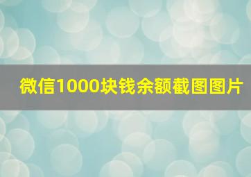 微信1000块钱余额截图图片