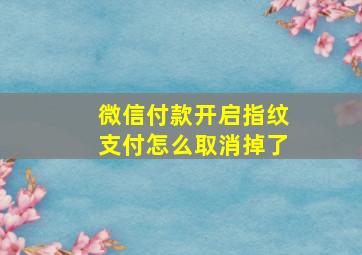 微信付款开启指纹支付怎么取消掉了