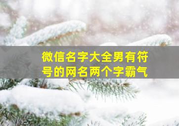 微信名字大全男有符号的网名两个字霸气