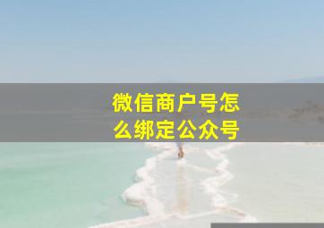 微信商户号怎么绑定公众号