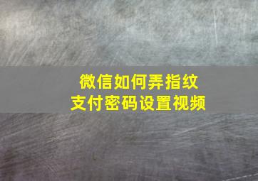 微信如何弄指纹支付密码设置视频