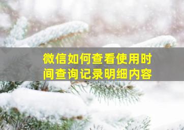 微信如何查看使用时间查询记录明细内容