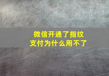 微信开通了指纹支付为什么用不了