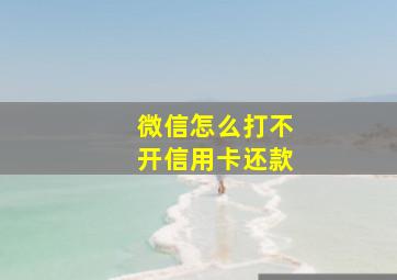 微信怎么打不开信用卡还款