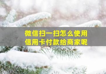 微信扫一扫怎么使用信用卡付款给商家呢