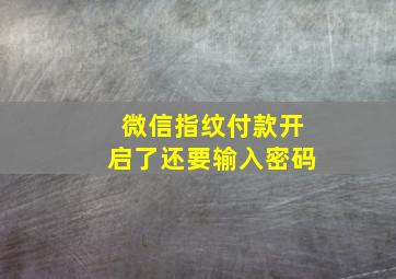 微信指纹付款开启了还要输入密码