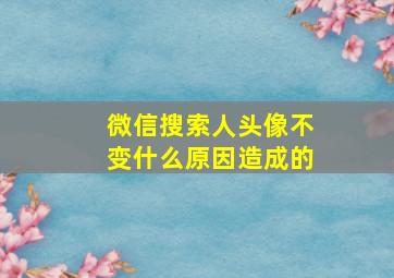 微信搜索人头像不变什么原因造成的