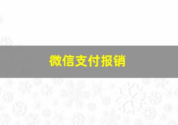 微信支付报销