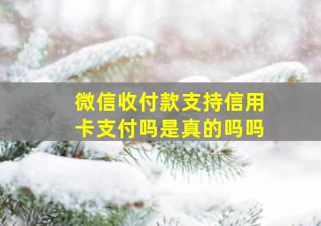 微信收付款支持信用卡支付吗是真的吗吗