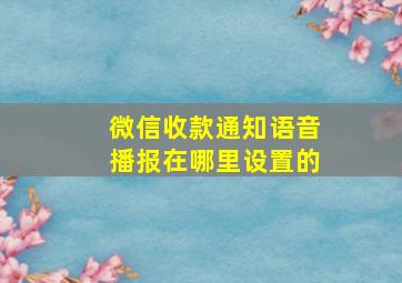 微信收款通知语音播报在哪里设置的