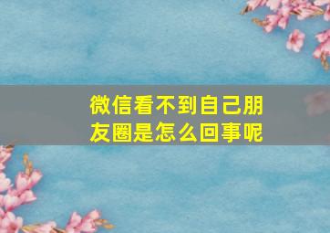 微信看不到自己朋友圈是怎么回事呢