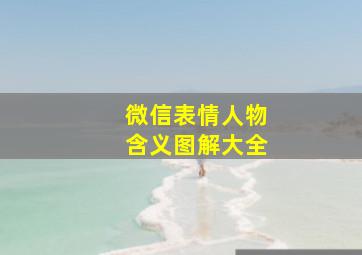 微信表情人物含义图解大全