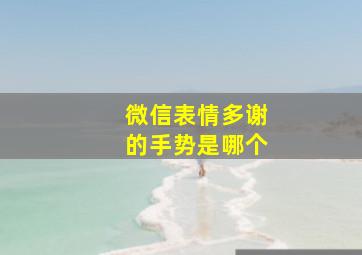 微信表情多谢的手势是哪个