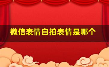 微信表情自拍表情是哪个