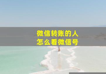 微信转账的人怎么看微信号