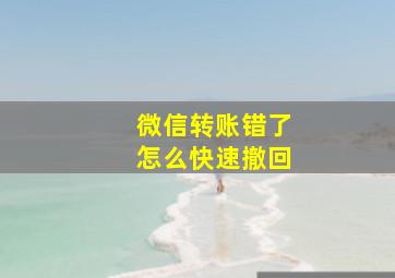 微信转账错了怎么快速撤回