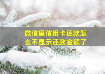 微信里信用卡还款怎么不显示还款金额了