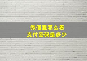 微信里怎么看支付密码是多少