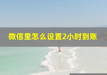 微信里怎么设置2小时到账