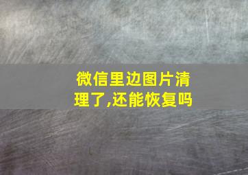 微信里边图片清理了,还能恢复吗