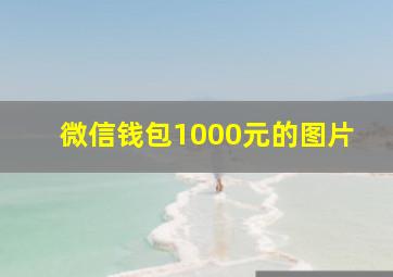 微信钱包1000元的图片