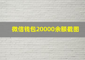 微信钱包20000余额截图