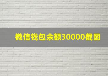 微信钱包余额30000截图