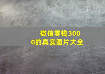 微信零钱3000的真实图片大全